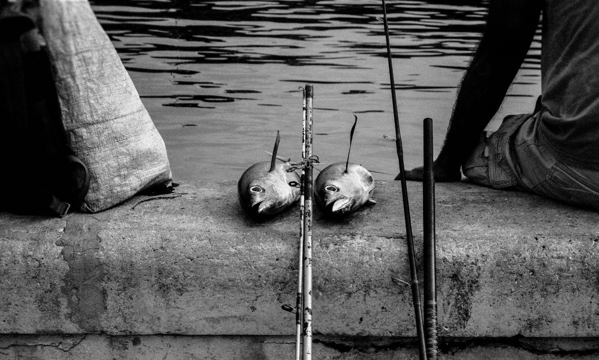 Una isla sin pescado